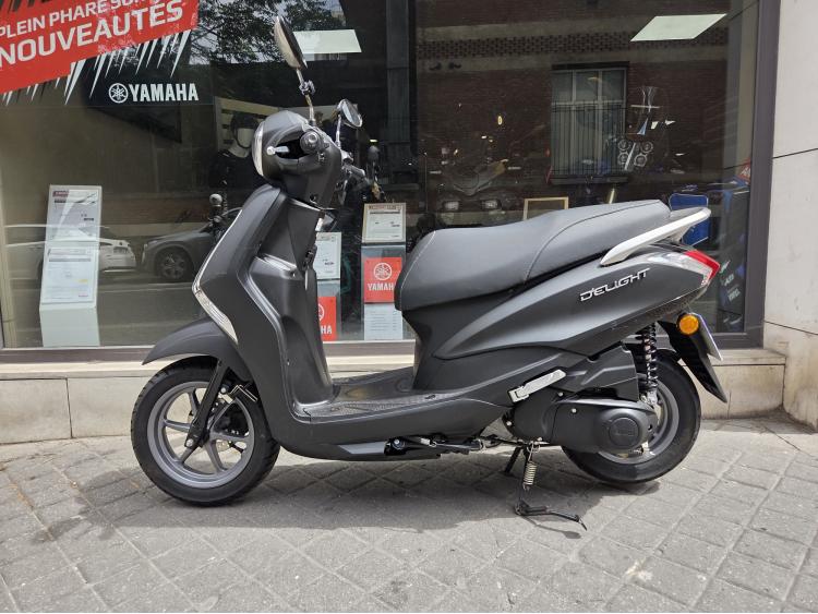 YAMAHA D'ELIGHT